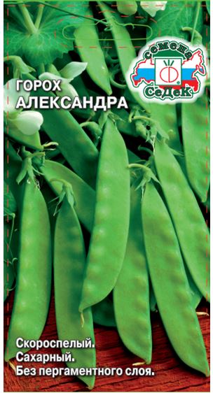 gorokh_aleksandra