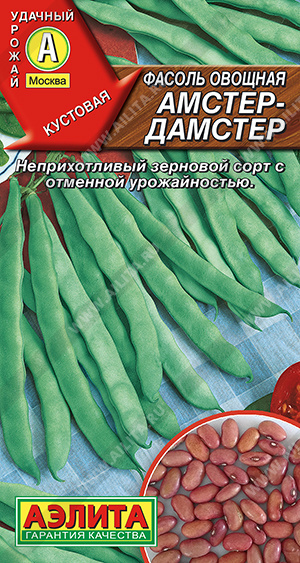 Амстер-дамстер