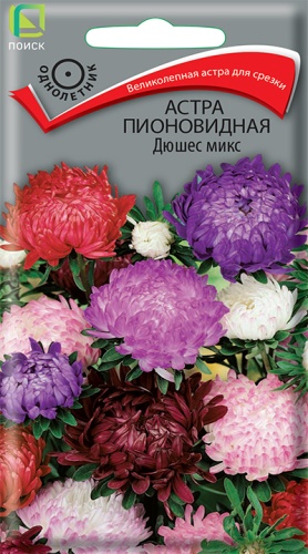 astra_pion_dushes_mix