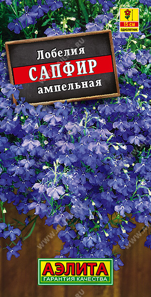 Лобелия Сапфир