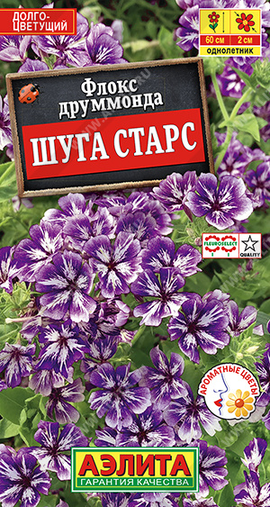 Флокс Шуга старс