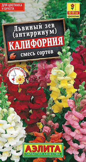Львиный зев Калифорния, смесь сортов_ЦП