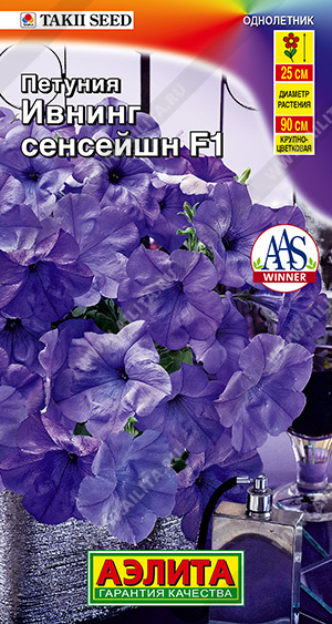 Петуния Ивнинг Сенсейшн