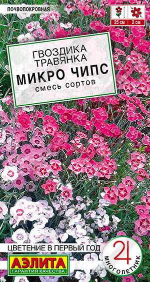 Гвоздика Микро чипс многолетняя