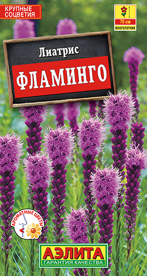 Лиатрис Фламинго_ЦП