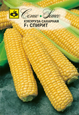 kukuruza_saharnaya_spirit