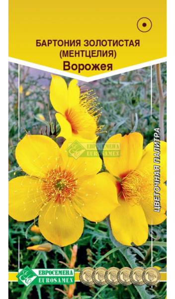 Бартония Ворожея