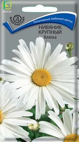 nivyannik_krup_alyaska