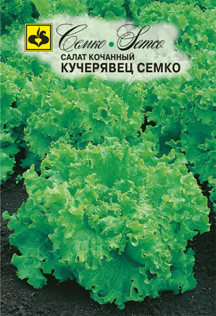 salat_kochannyj_kucheryavec_semco