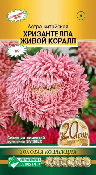 Астра китайская Хризантелла Живой Коралл