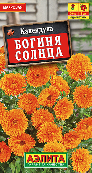 Календула Богиня солнца_ЦП