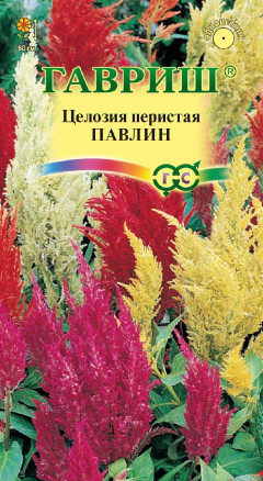 Павлин
