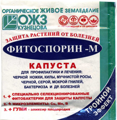 капуста
