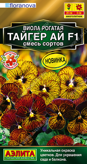 Виола Тайгер Ай