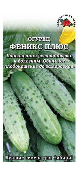 Фенис плюс