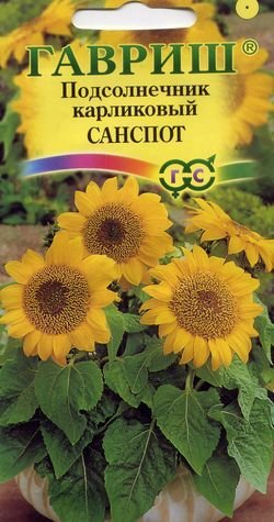Санспот
