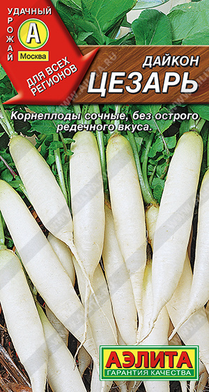 Дайкон Цезарь