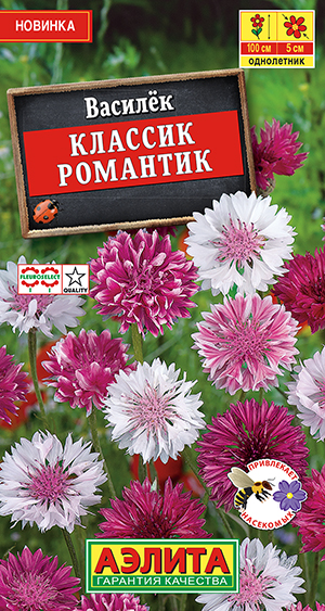 Василек Классик Романтик_ЦП