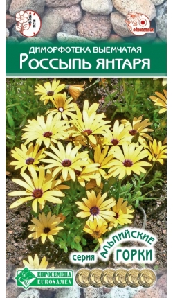 Россыпь янтаря