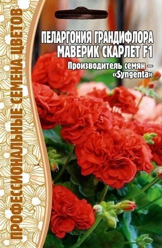 Маверик скарлет