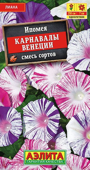 Ипомея Карнавалы Венеции, смесь сортов_ЦП