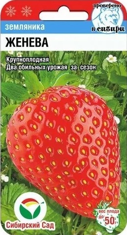 Женева