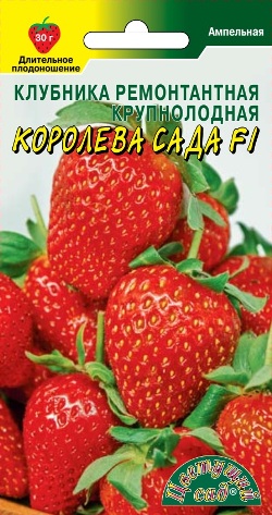 Клубника Королева Сада