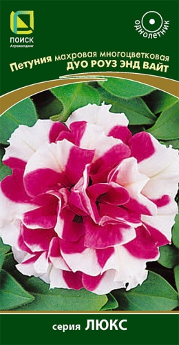 petunia_mahrov_mnogocvet_duo_rouz_and_white