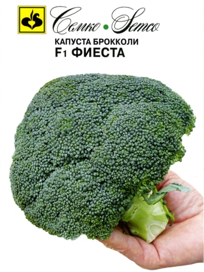 kapusta_brokkoli_fiesta