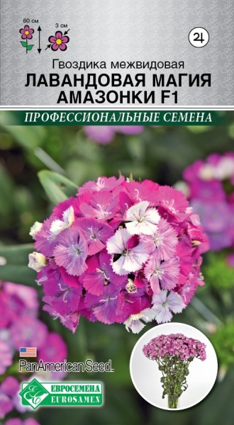 Гвоздика Лавандовая Магия Амазонки