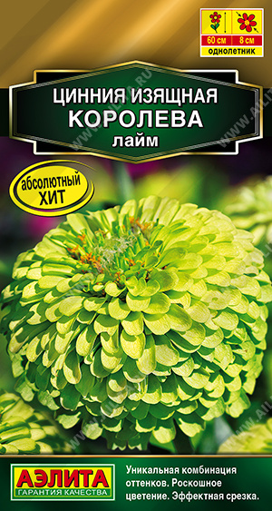 Цинния Королева лайм