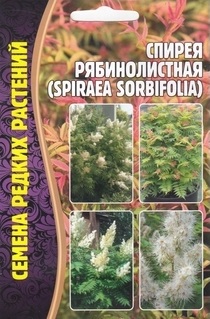 Рябинолистная
