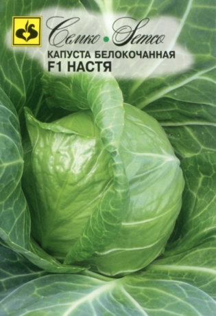 kapusta_belokochannaya_nastya