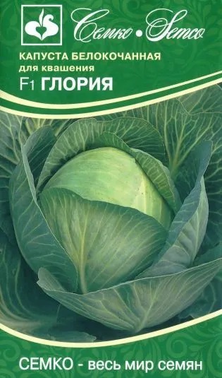 Капуста Глория