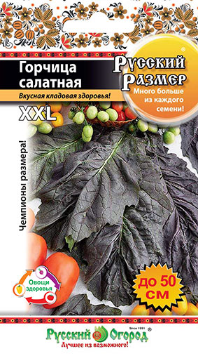 Горчица салатная