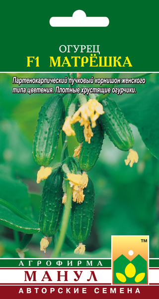 Матрешка