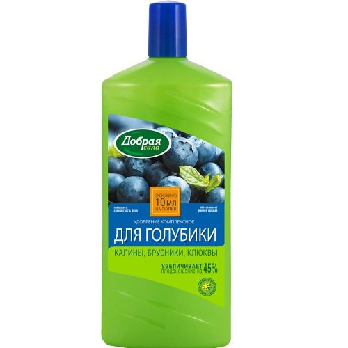 DS_golubika_1L_2020_k__________________