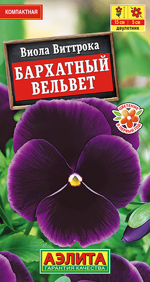 Виола Бархатный вельвет_ЦП