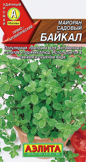 Майоран садовый Байкал_ЦП