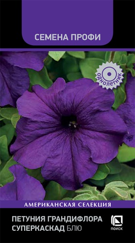 petunia_grandiflora_superkaskad_blue