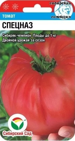 Спецназ