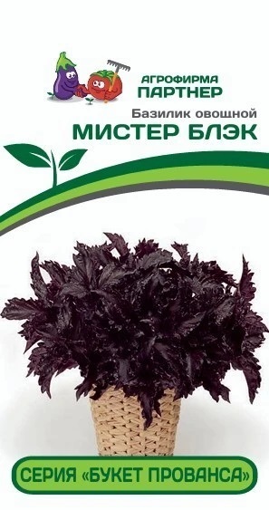 Базилик Мистер блэк