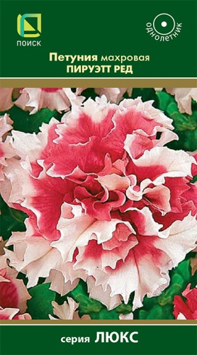 petunia_mahrov_peruet_red