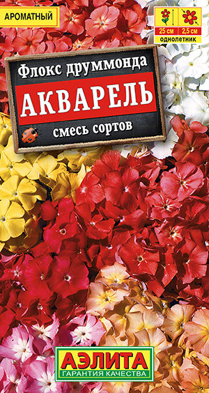 Флокс Акварель, смесь сортов_ЦП