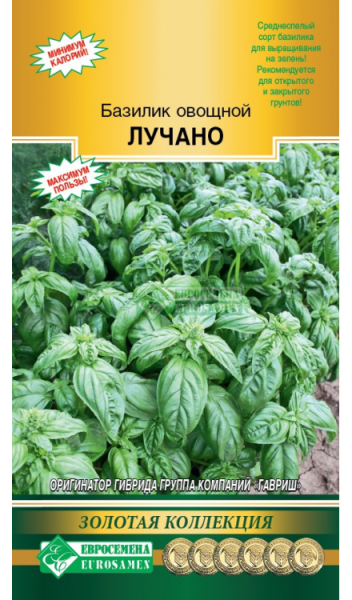 Базилик Лучано