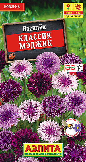 Василек Классик Мэджик_ЦП