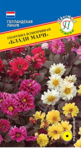Блади мари