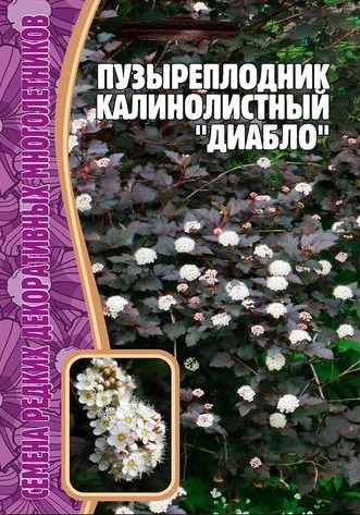 Пузыреплодник