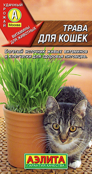 Трава для кошек_ЦП