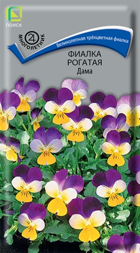 fialka_rogataya_dama